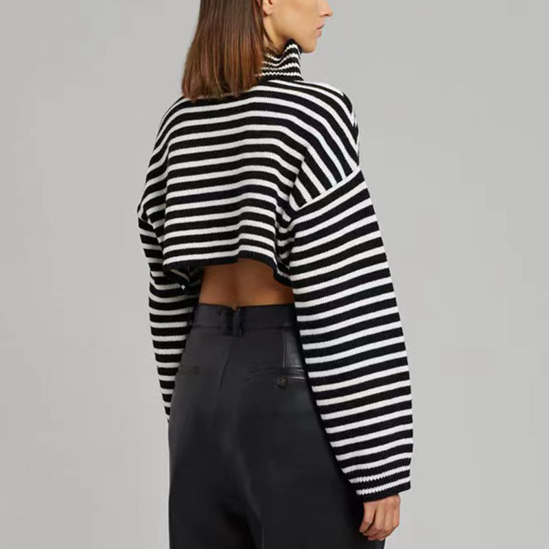 Wool Striped Cropped Knit Top